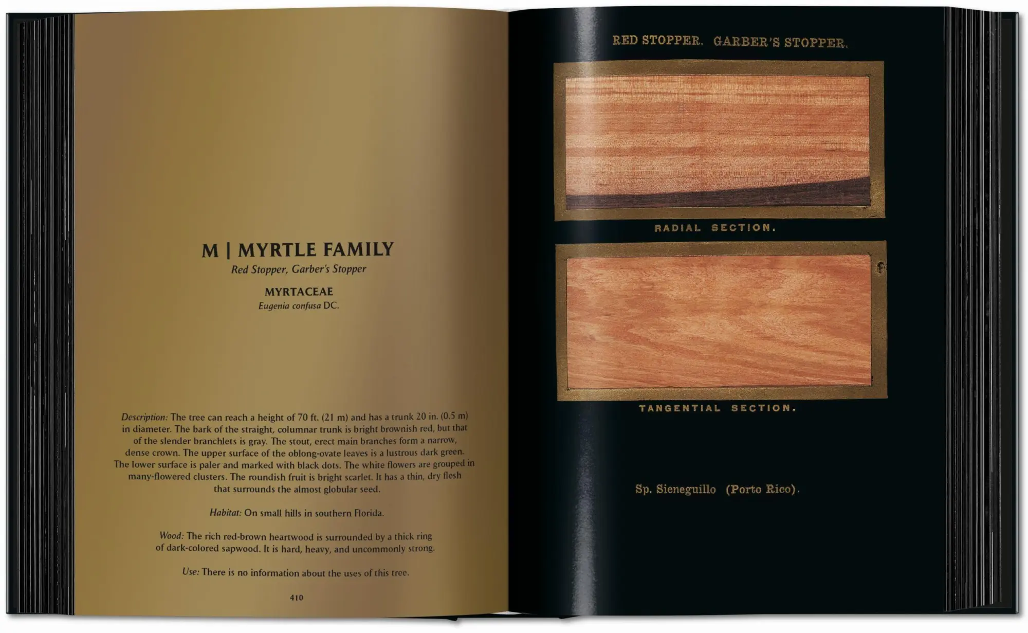 Bild: 9783754404683 | Romeyn B. Hough | The Woodbook. The Complete Plates | Leistikow | Buch