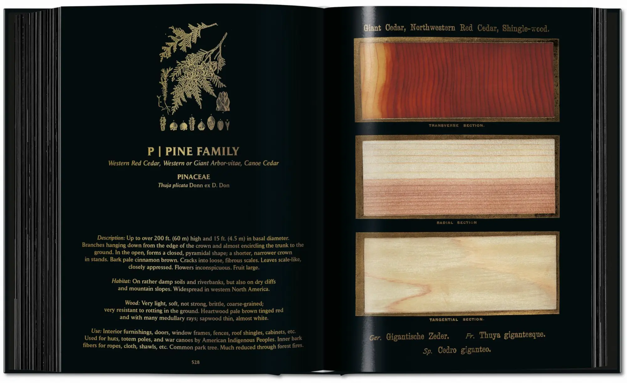 Bild: 9783754404683 | Romeyn B. Hough | The Woodbook. The Complete Plates | Leistikow | Buch