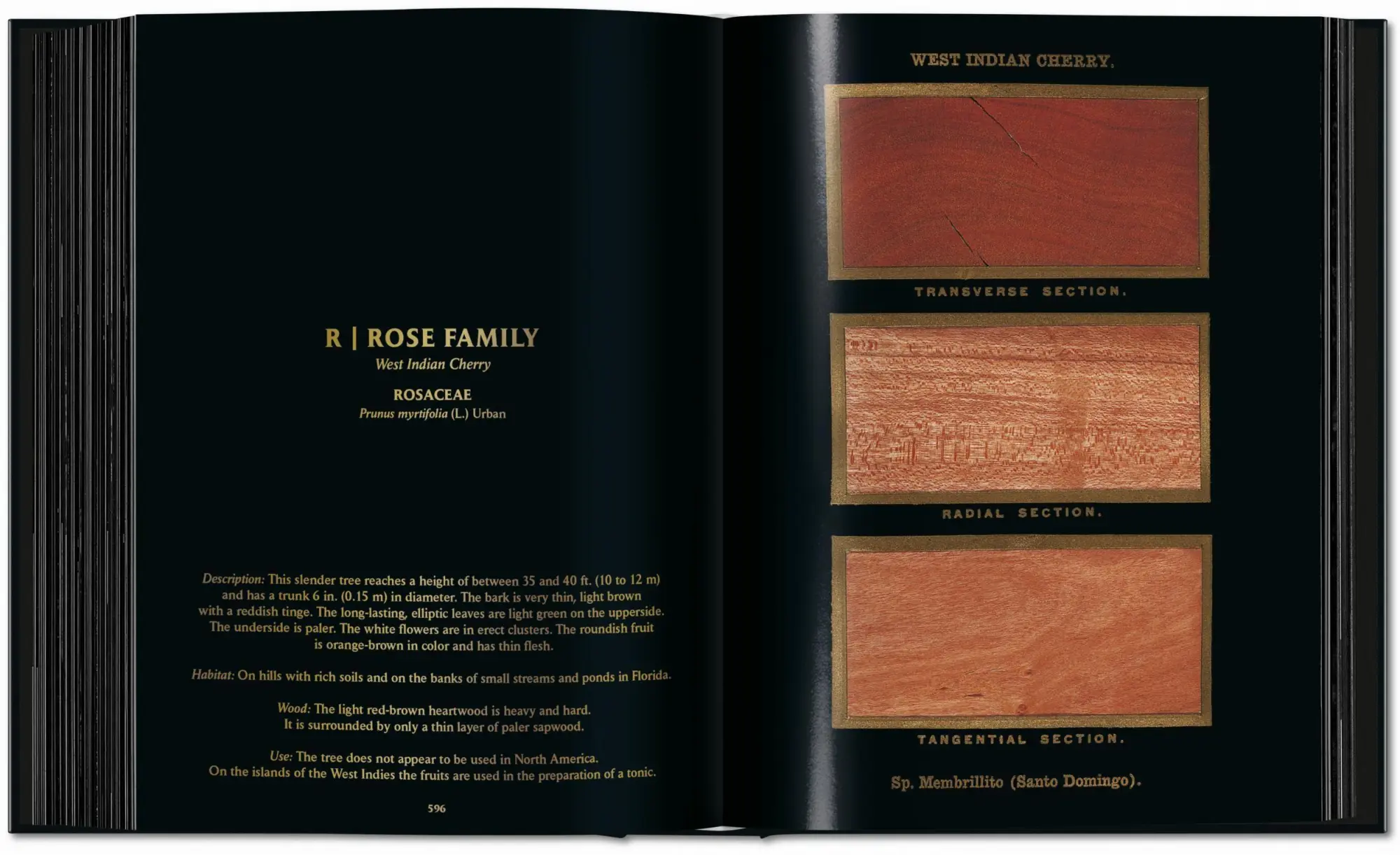 Bild: 9783754404683 | Romeyn B. Hough | The Woodbook. The Complete Plates | Leistikow | Buch