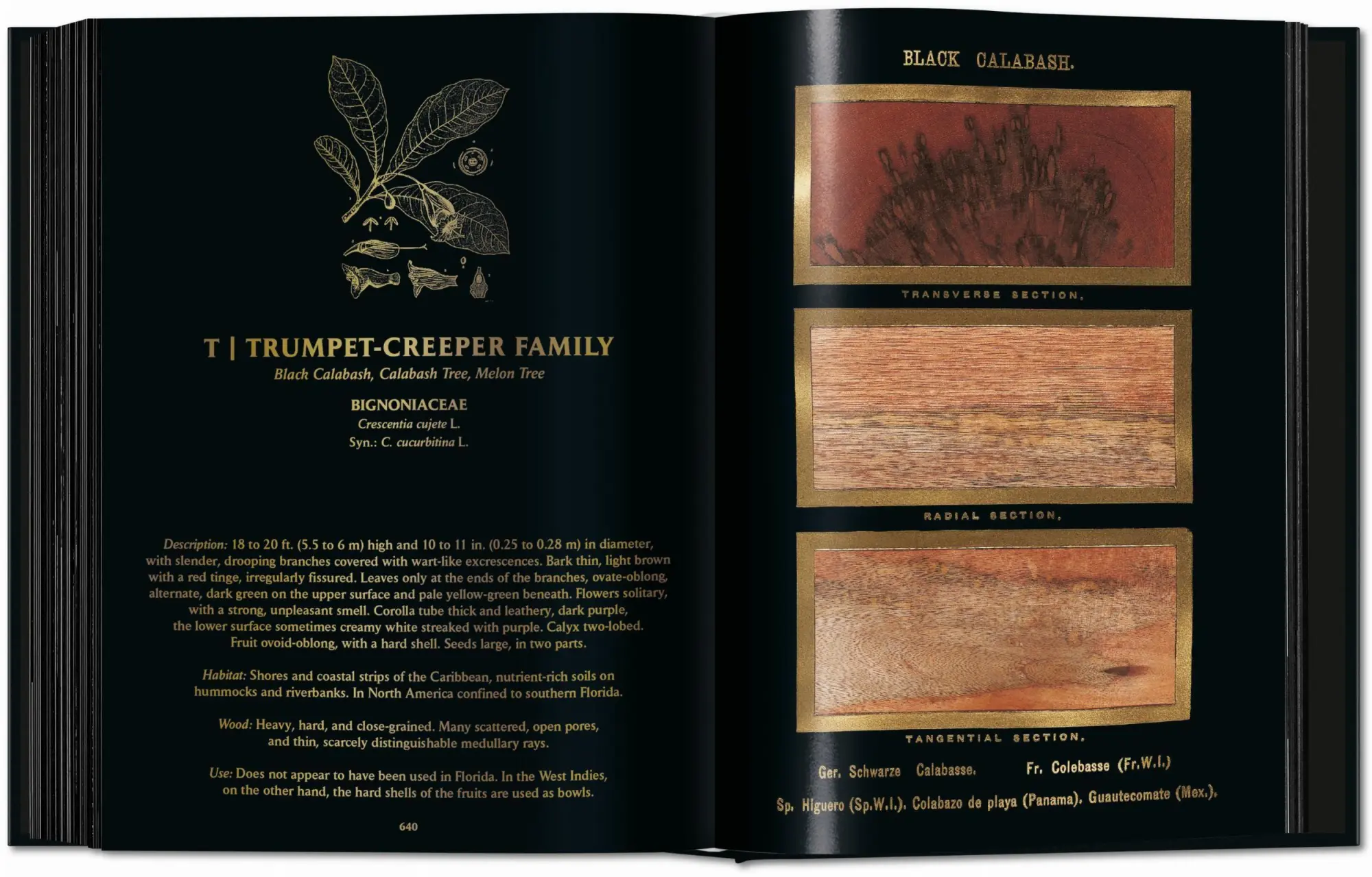 Bild: 9783754404683 | Romeyn B. Hough | The Woodbook. The Complete Plates | Leistikow | Buch
