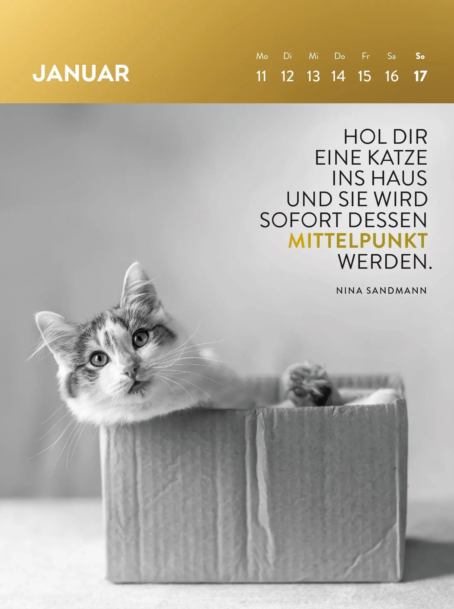 Bild: 4036442014783 | Wochenkalender 2027: Goldene Katzenweisheiten für jeden Tag | Verlag