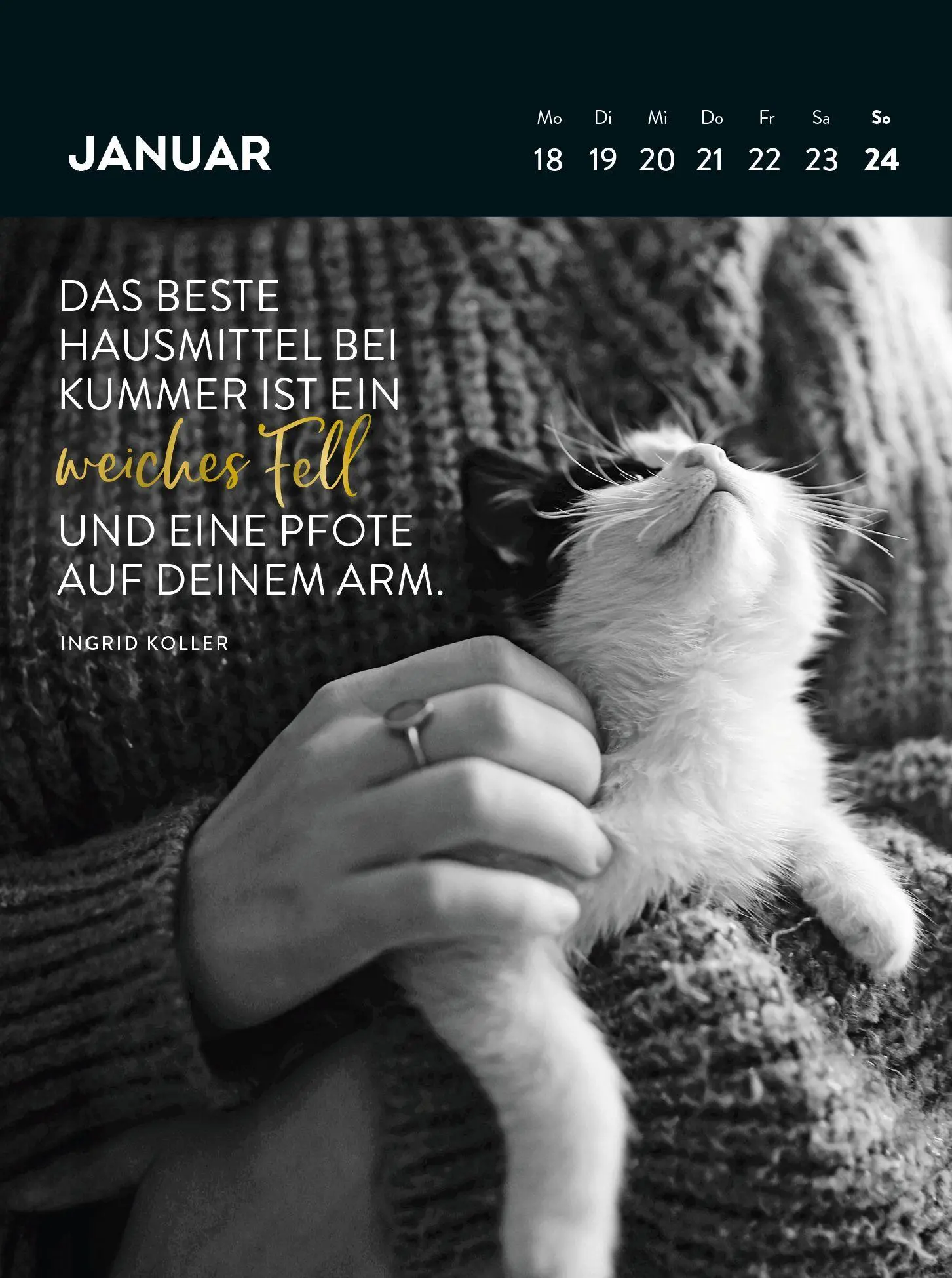 Bild: 4036442014783 | Wochenkalender 2027: Goldene Katzenweisheiten für jeden Tag | Verlag