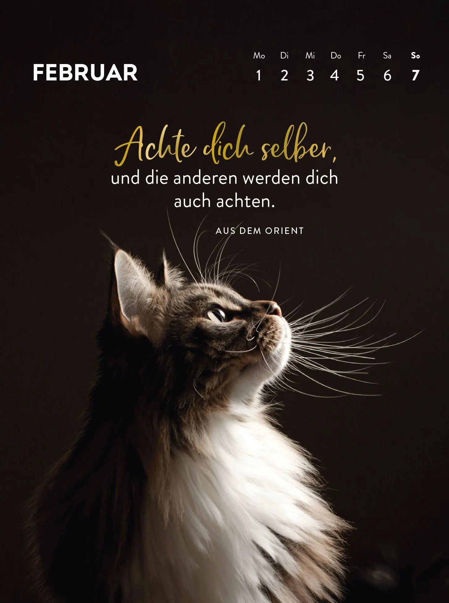 Bild: 4036442014783 | Wochenkalender 2027: Goldene Katzenweisheiten für jeden Tag | Verlag