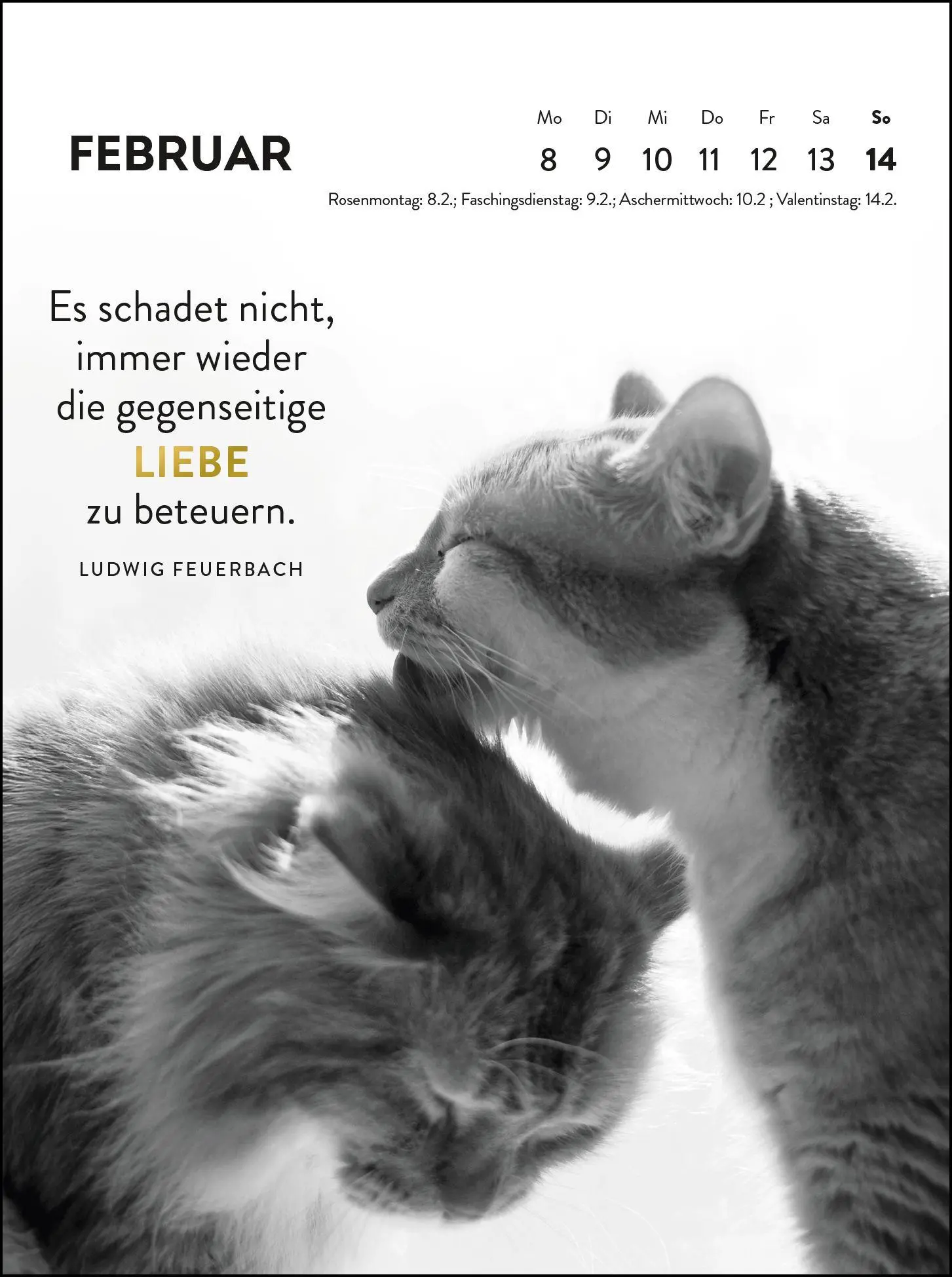 Bild: 4036442014783 | Wochenkalender 2027: Goldene Katzenweisheiten für jeden Tag | Verlag