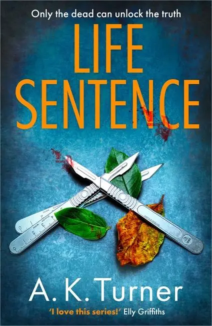 Cover: 9781838774783 | Life Sentence | A. K. Turner | Taschenbuch | Kartoniert / Broschiert