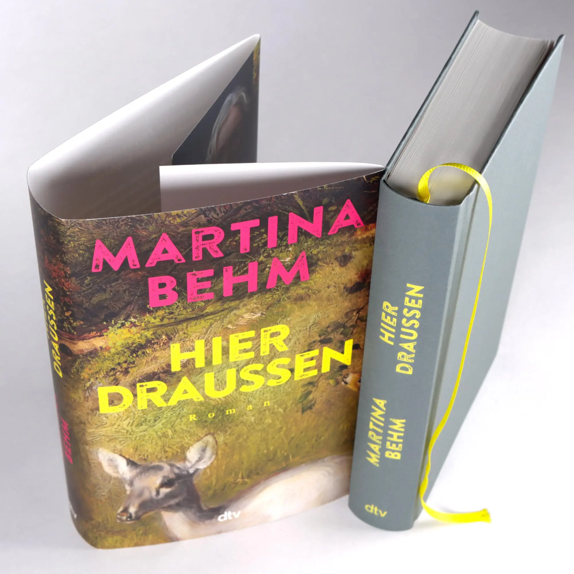 Bild: 9783423284783 | Hier draußen | Martina Behm | Buch | 496 S. | Deutsch | 2025