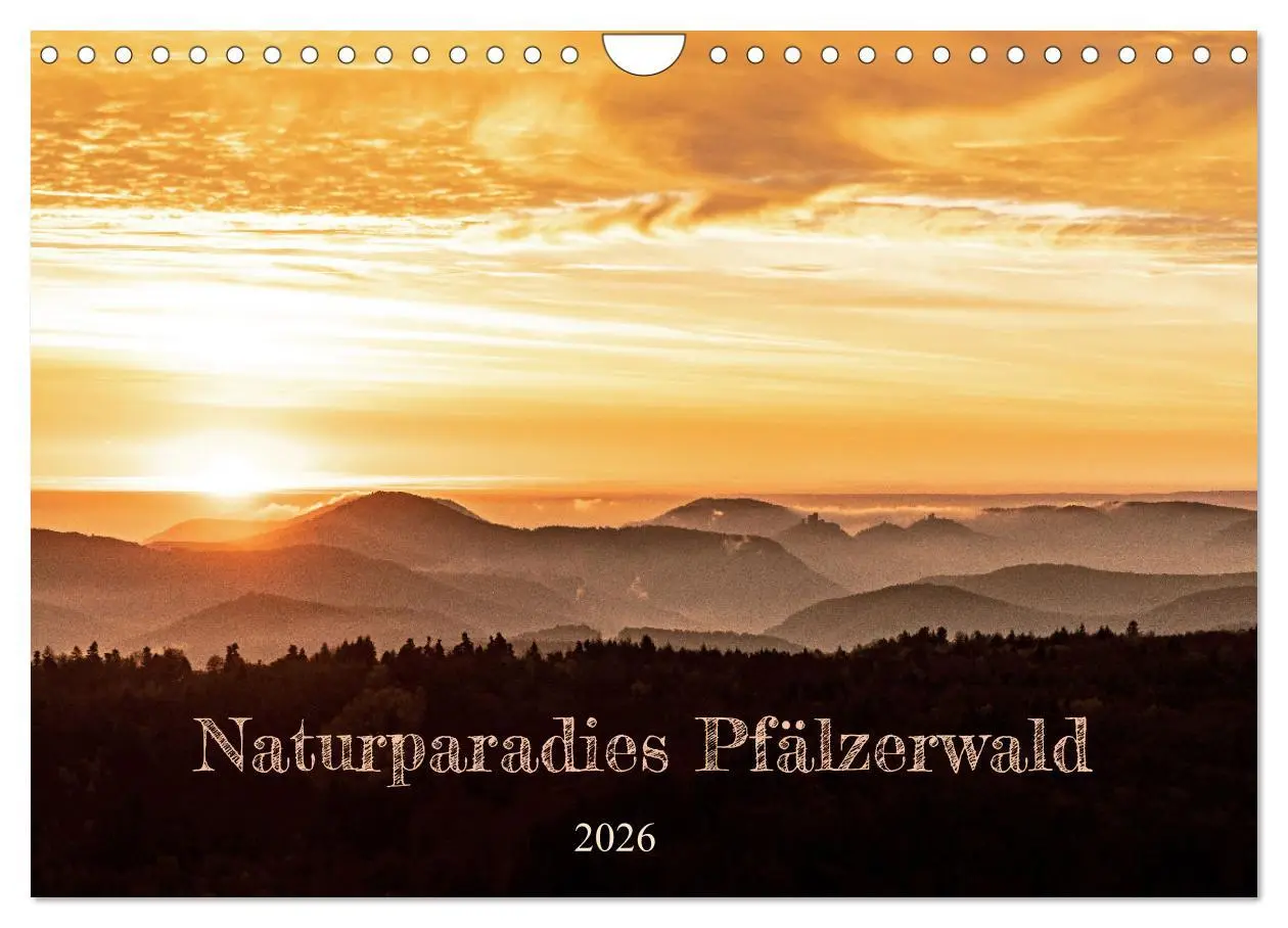 Cover: 9783457564783 | Naturparadies Pfälzerwald (Wandkalender 2026 DIN A4 quer), CALVENDO...