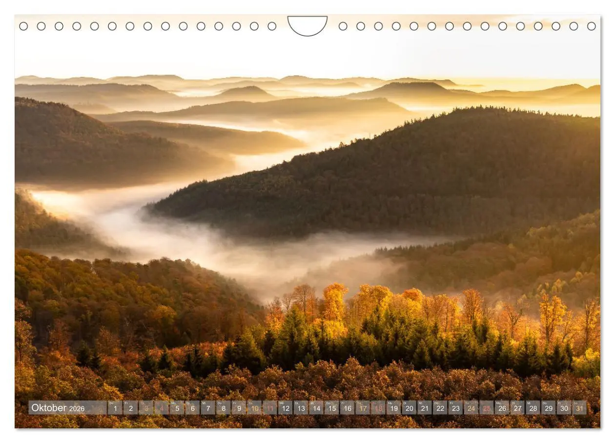 Bild: 9783457564783 | Naturparadies Pfälzerwald (Wandkalender 2026 DIN A4 quer), CALVENDO...