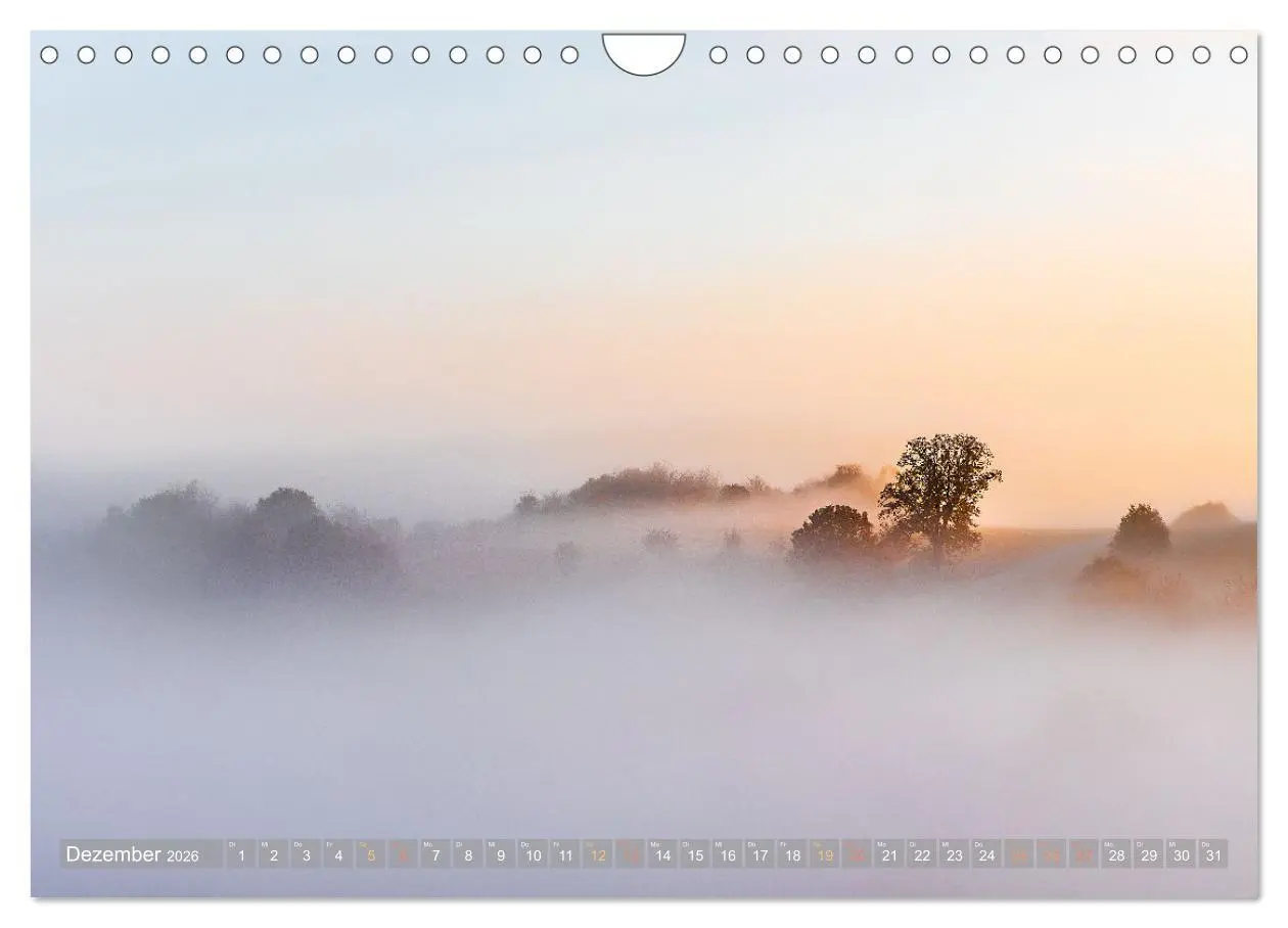 Bild: 9783457564783 | Naturparadies Pfälzerwald (Wandkalender 2026 DIN A4 quer), CALVENDO...
