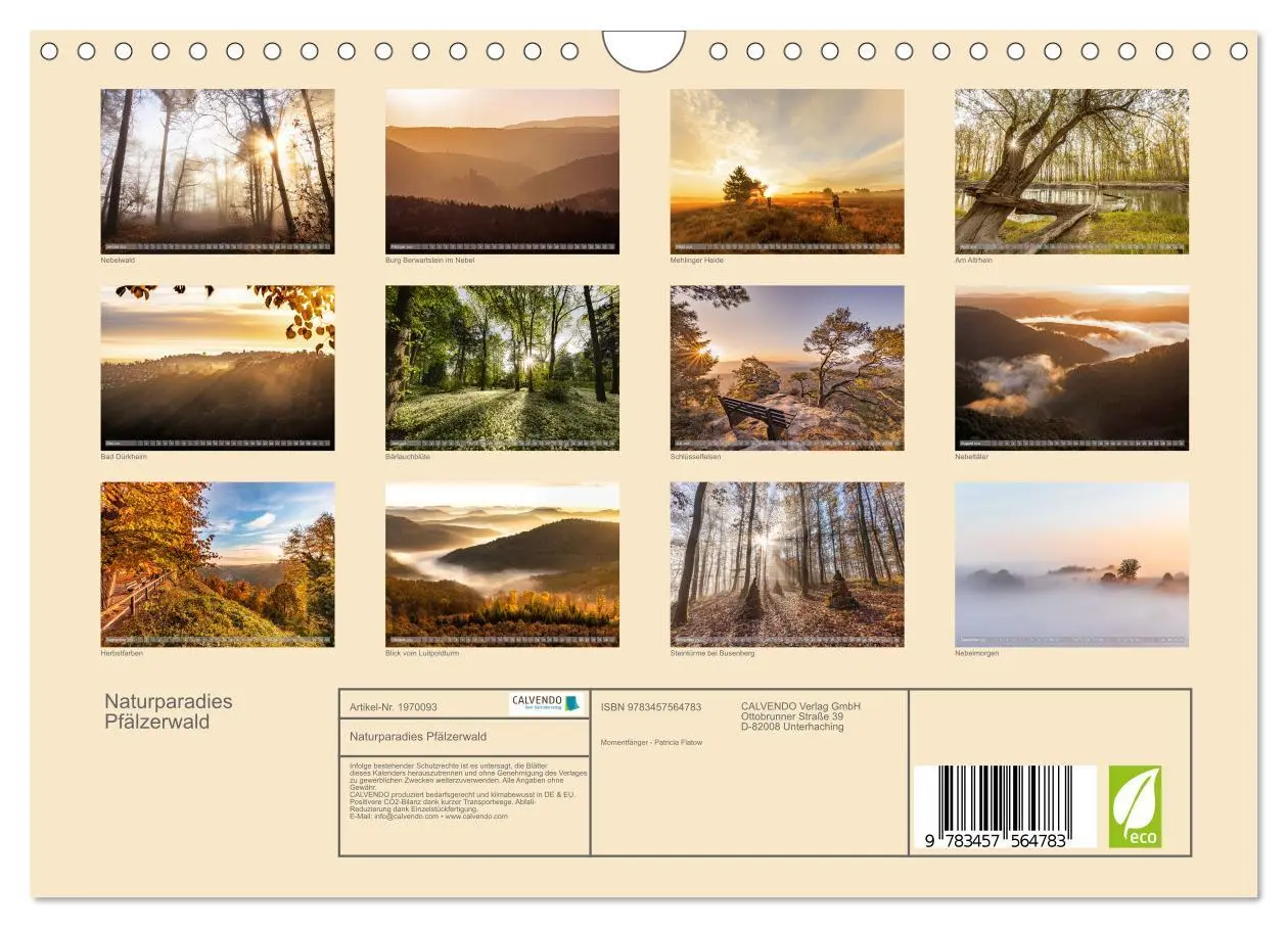 Bild: 9783457564783 | Naturparadies Pfälzerwald (Wandkalender 2026 DIN A4 quer), CALVENDO...