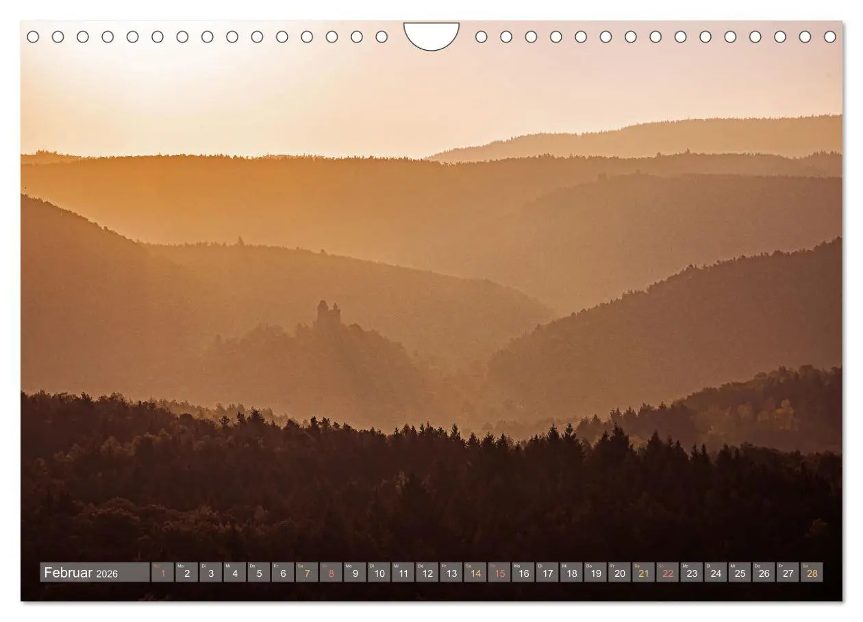 Bild: 9783457564783 | Naturparadies Pfälzerwald (Wandkalender 2026 DIN A4 quer), CALVENDO...