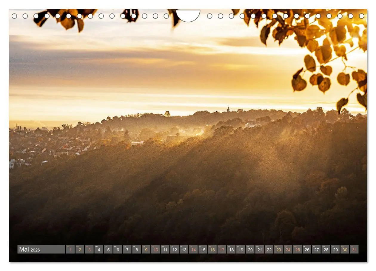 Bild: 9783457564783 | Naturparadies Pfälzerwald (Wandkalender 2026 DIN A4 quer), CALVENDO...