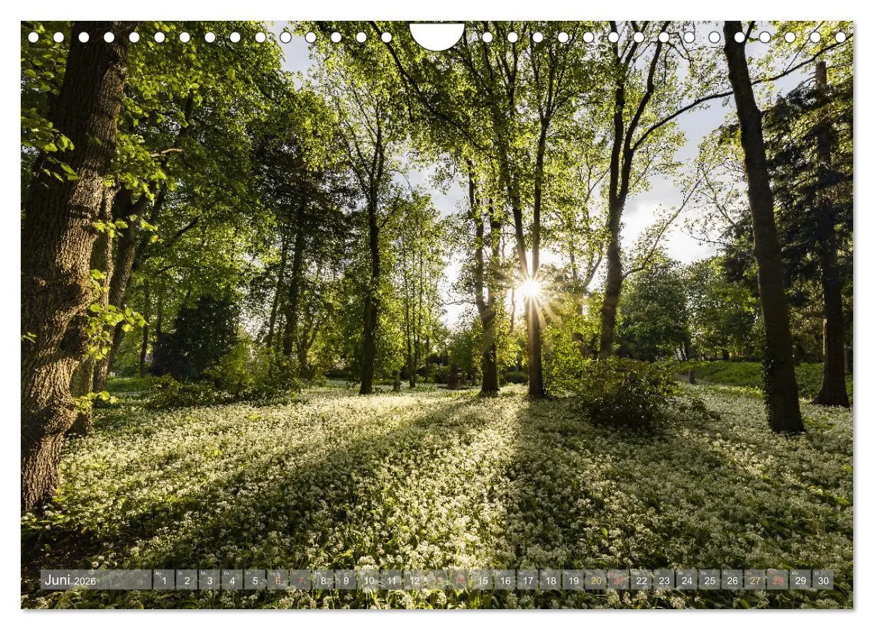 Bild: 9783457564783 | Naturparadies Pfälzerwald (Wandkalender 2026 DIN A4 quer), CALVENDO...