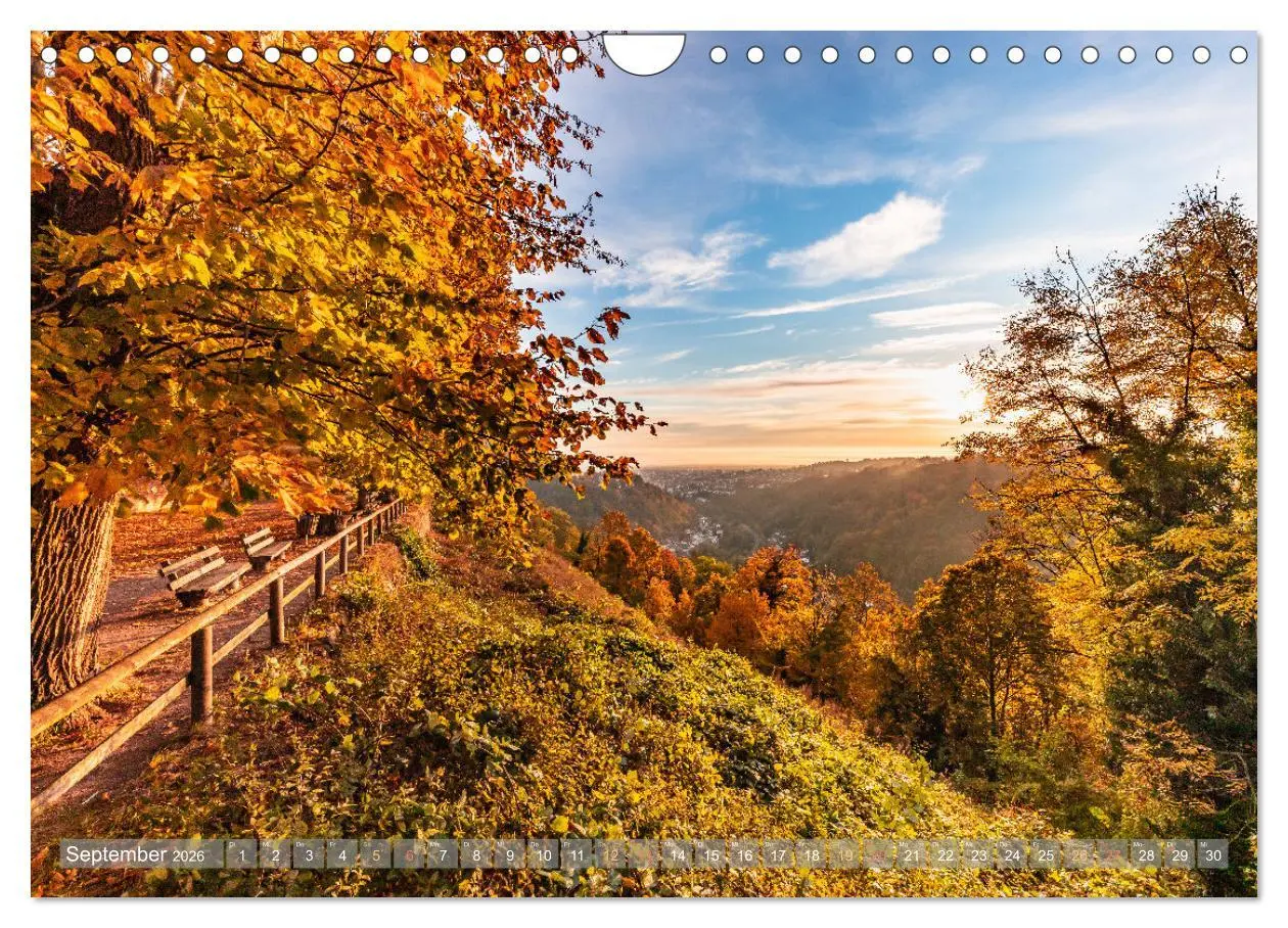 Bild: 9783457564783 | Naturparadies Pfälzerwald (Wandkalender 2026 DIN A4 quer), CALVENDO...