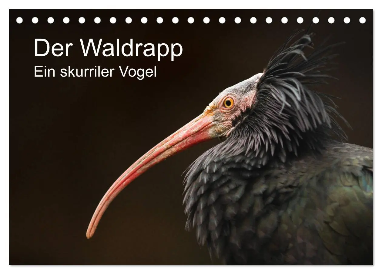 Cover: 9783457704783 | Der Waldrapp - Ein skurriler Vogel (Tischkalender 2026 DIN A5...