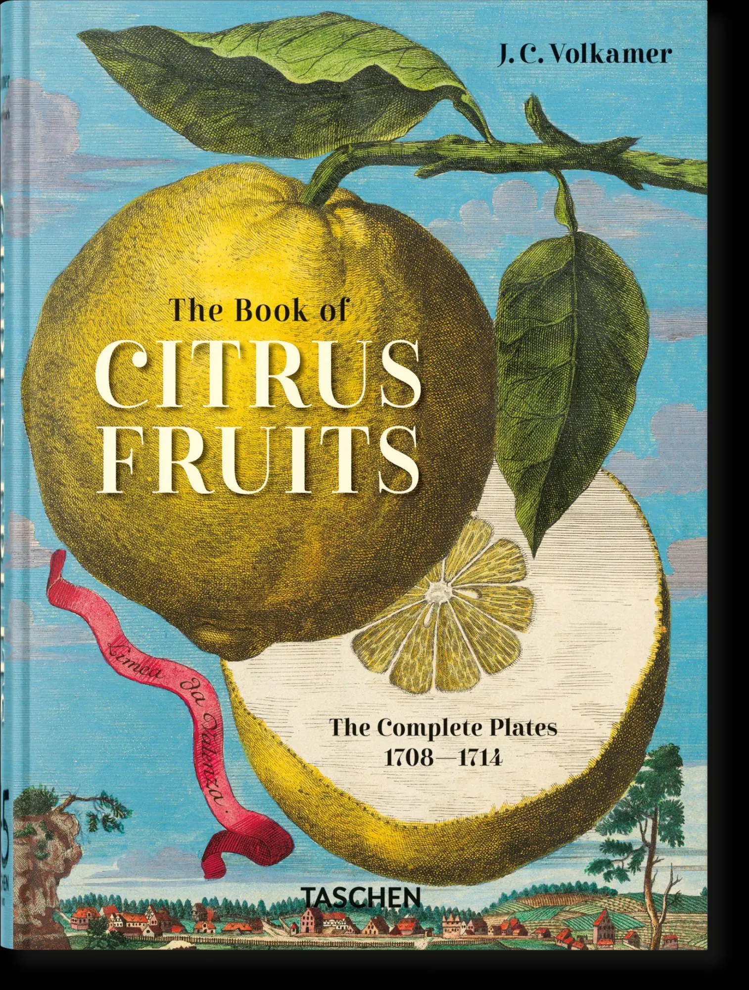 Cover: 9783836594783 | J. C. Volkamer. The Book of Citrus Fruits. 45th Ed. | Iris Lauterbach
