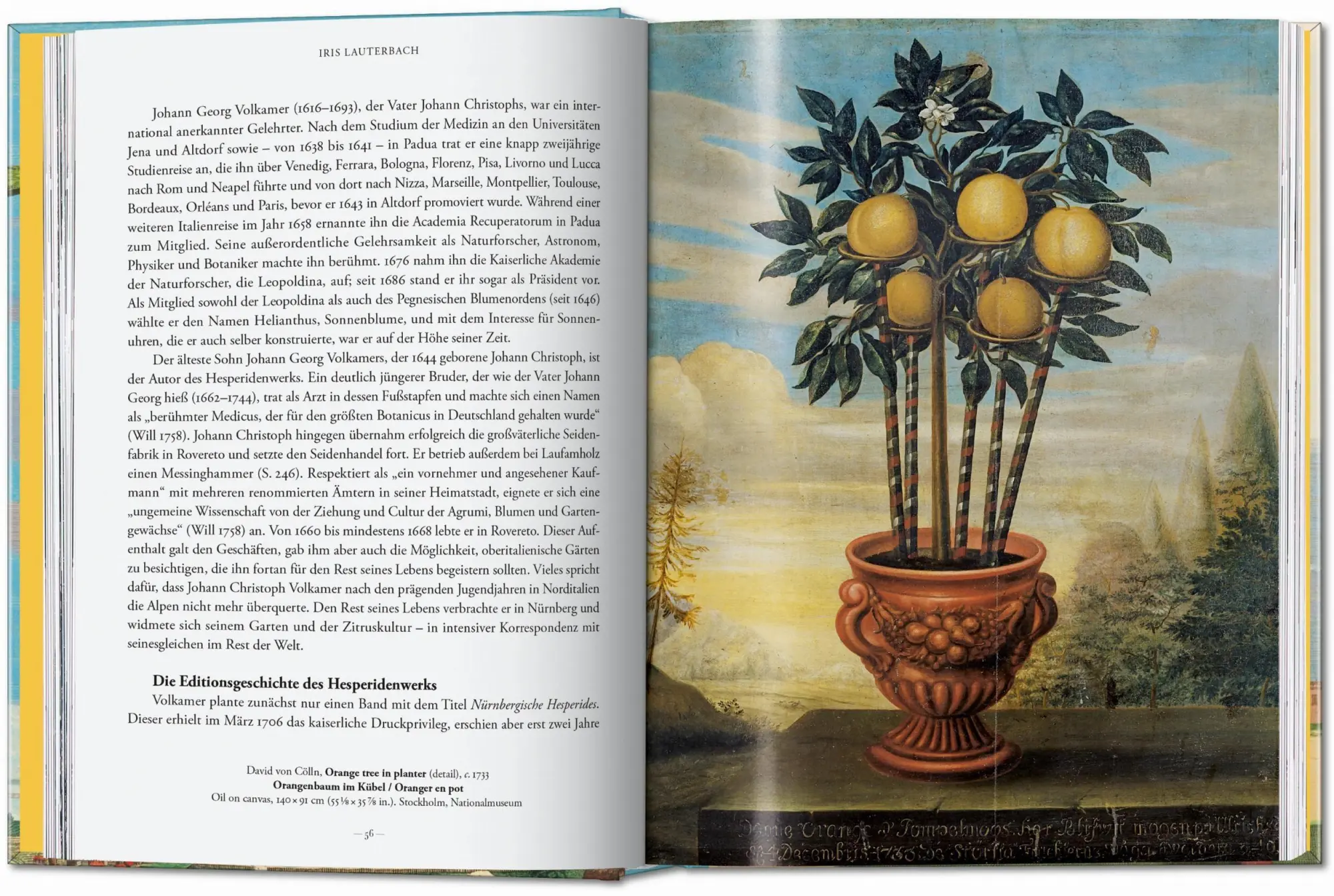 Bild: 9783836594783 | J. C. Volkamer. The Book of Citrus Fruits. 45th Ed. | Iris Lauterbach