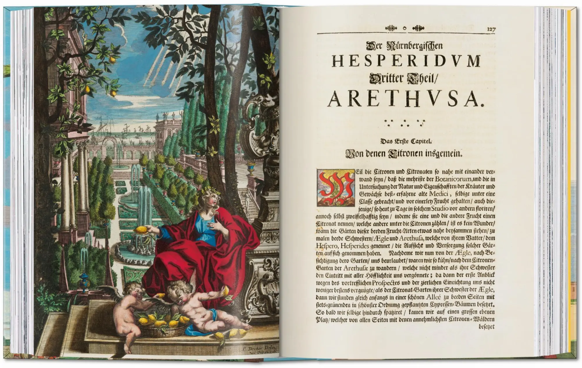 Bild: 9783836594783 | J. C. Volkamer. The Book of Citrus Fruits. 45th Ed. | Iris Lauterbach