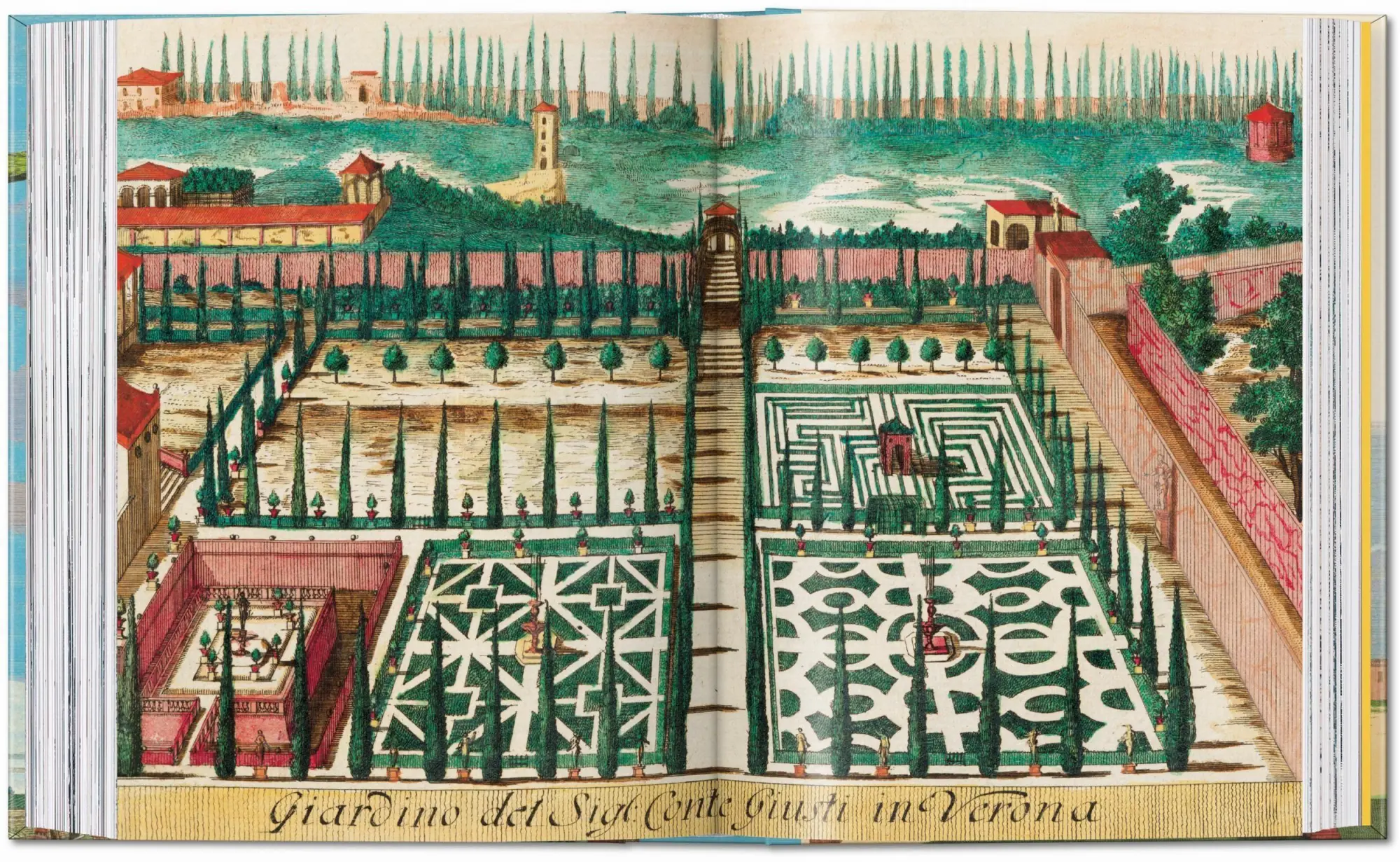Bild: 9783836594783 | J. C. Volkamer. The Book of Citrus Fruits. 45th Ed. | Iris Lauterbach