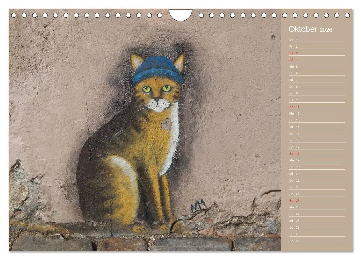 Bild: 9783457934883 | Flensburger Katzen (Wandkalender 2026 DIN A4 quer), CALVENDO...