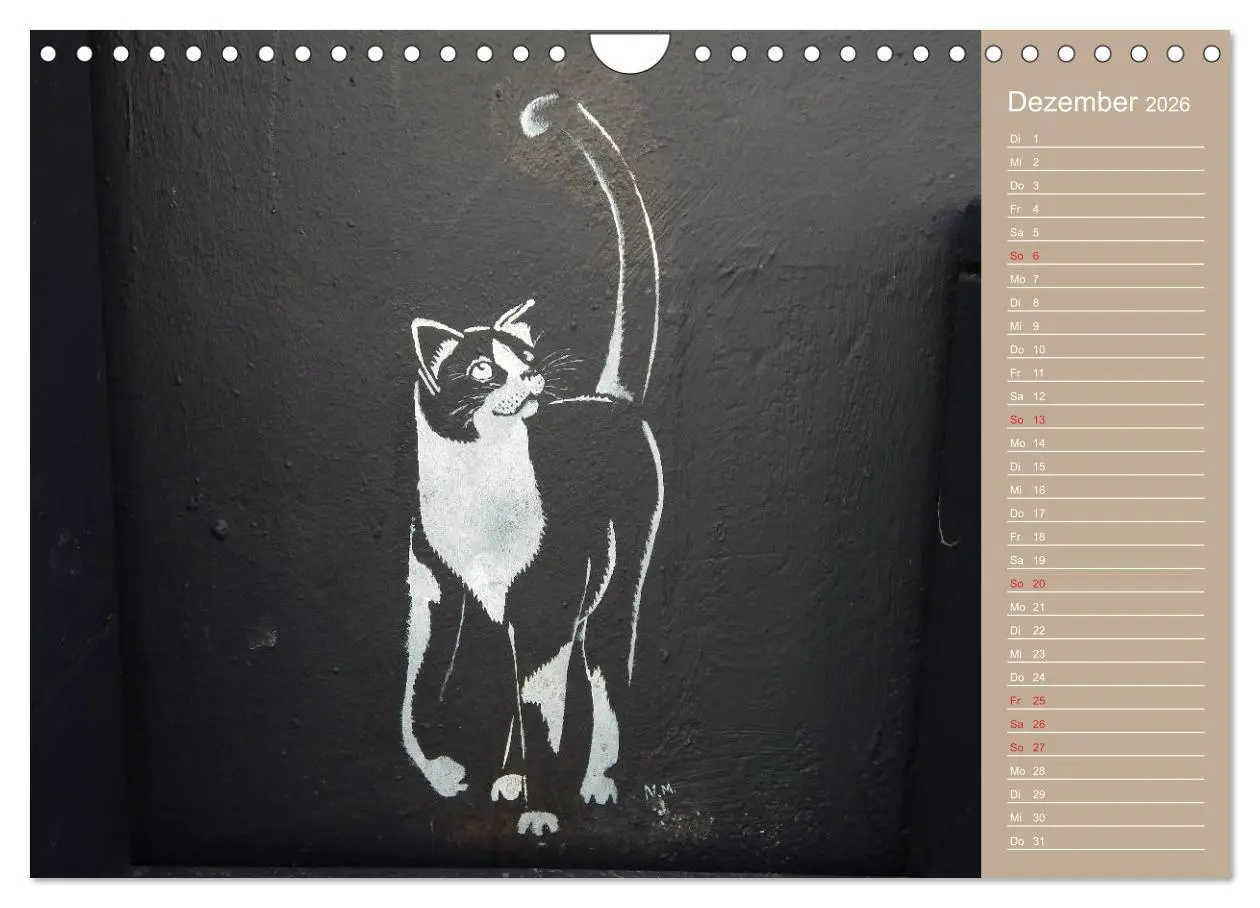 Bild: 9783457934883 | Flensburger Katzen (Wandkalender 2026 DIN A4 quer), CALVENDO...