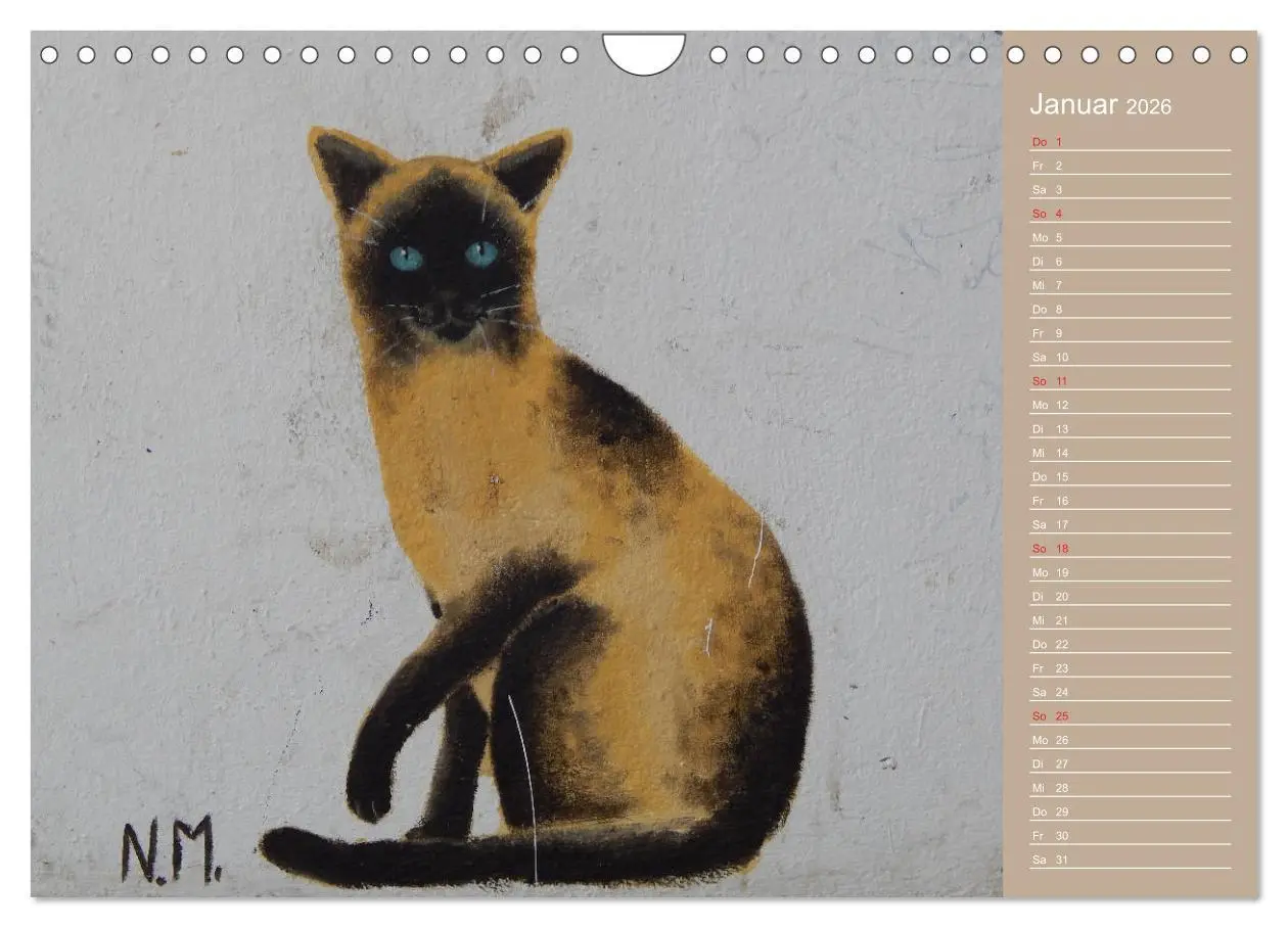 Bild: 9783457934883 | Flensburger Katzen (Wandkalender 2026 DIN A4 quer), CALVENDO...