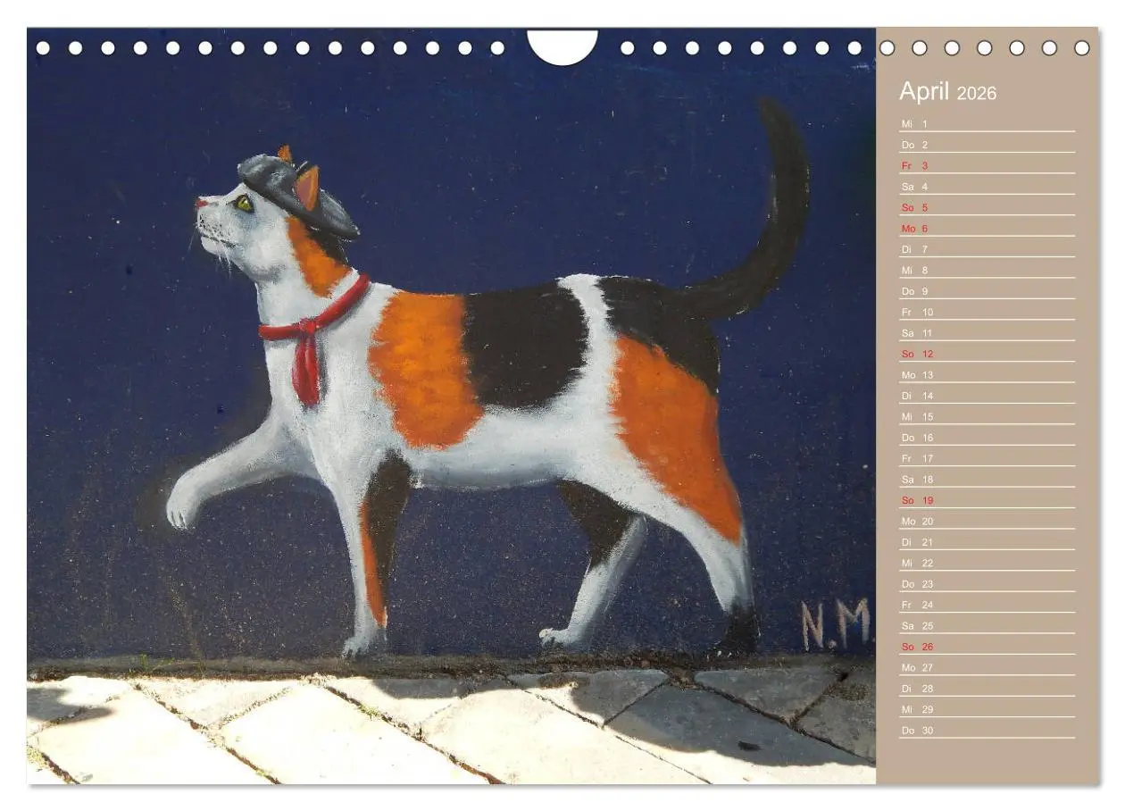 Bild: 9783457934883 | Flensburger Katzen (Wandkalender 2026 DIN A4 quer), CALVENDO...