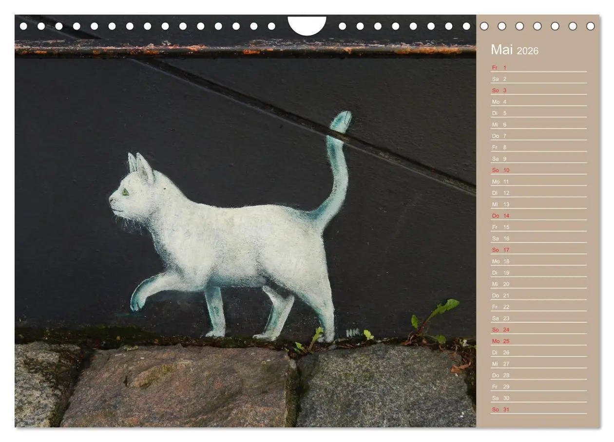 Bild: 9783457934883 | Flensburger Katzen (Wandkalender 2026 DIN A4 quer), CALVENDO...