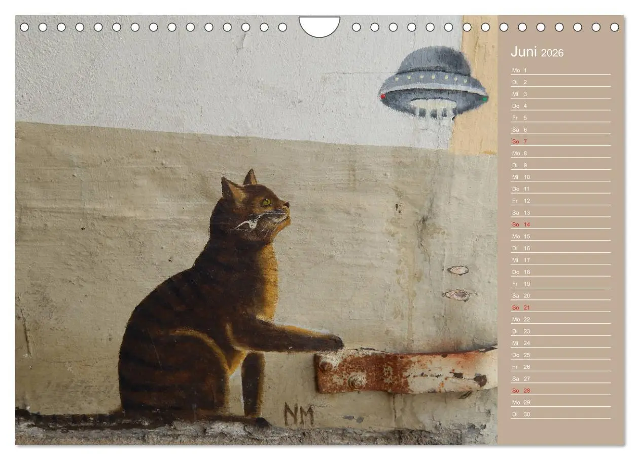 Bild: 9783457934883 | Flensburger Katzen (Wandkalender 2026 DIN A4 quer), CALVENDO...