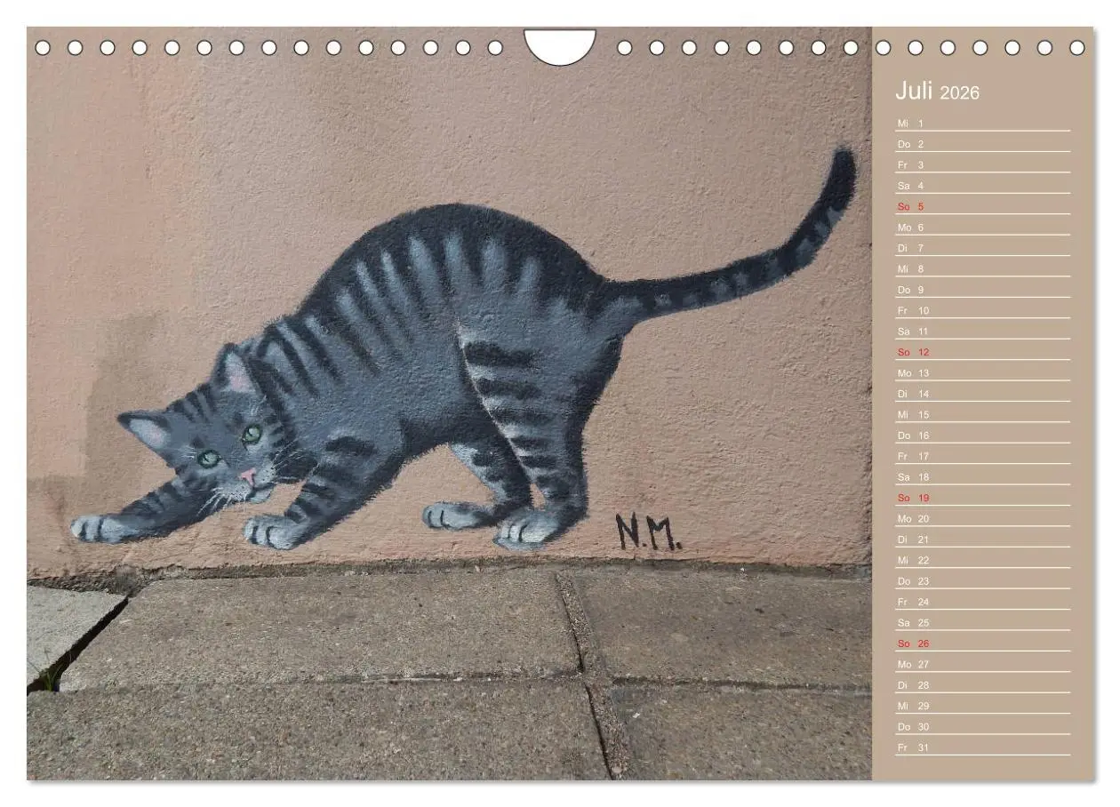 Bild: 9783457934883 | Flensburger Katzen (Wandkalender 2026 DIN A4 quer), CALVENDO...