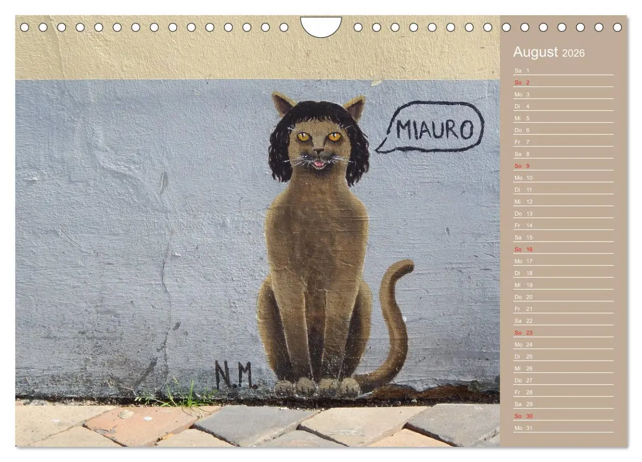 Bild: 9783457934883 | Flensburger Katzen (Wandkalender 2026 DIN A4 quer), CALVENDO...