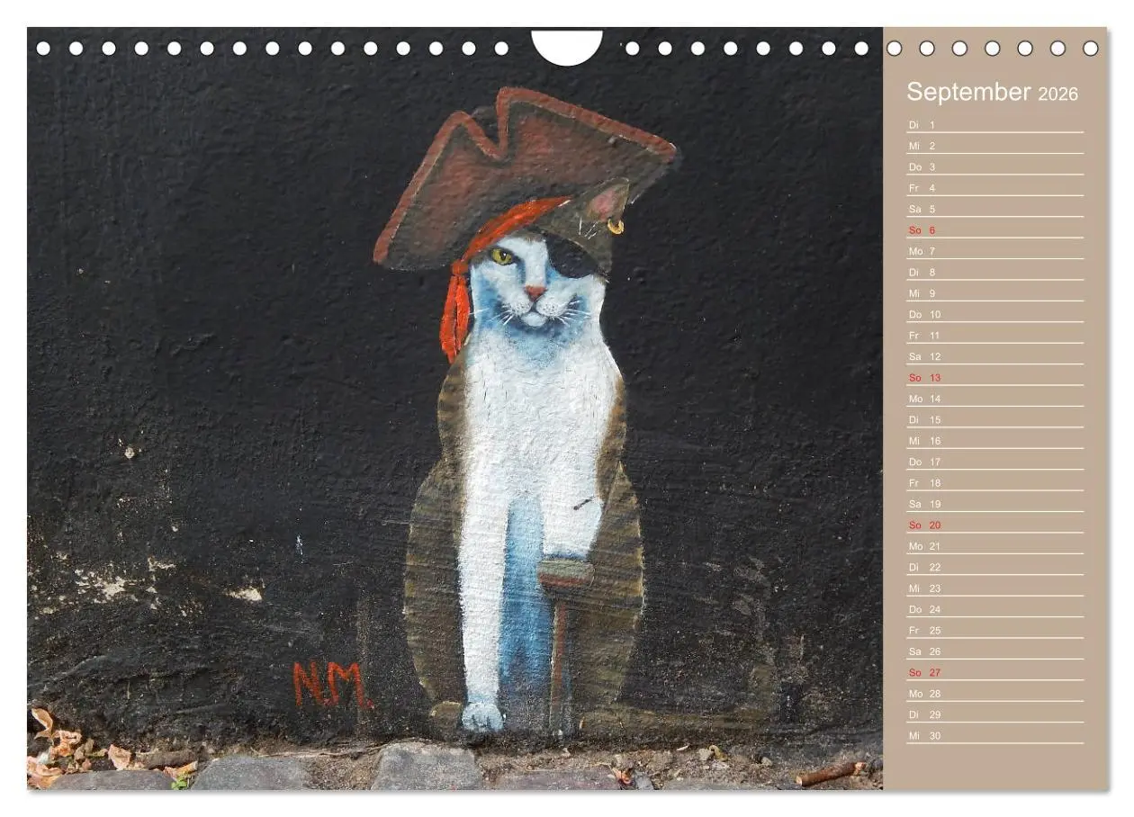 Bild: 9783457934883 | Flensburger Katzen (Wandkalender 2026 DIN A4 quer), CALVENDO...