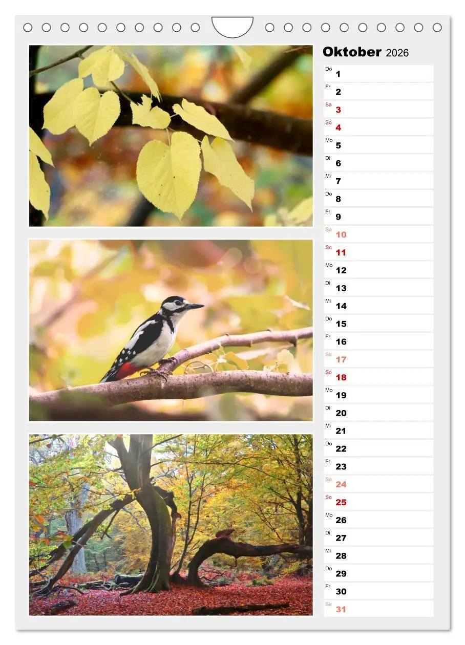 Bild: 9783516334883 | Zauberhafte Farben der Natur (Wandkalender 2026 DIN A4 hoch),...