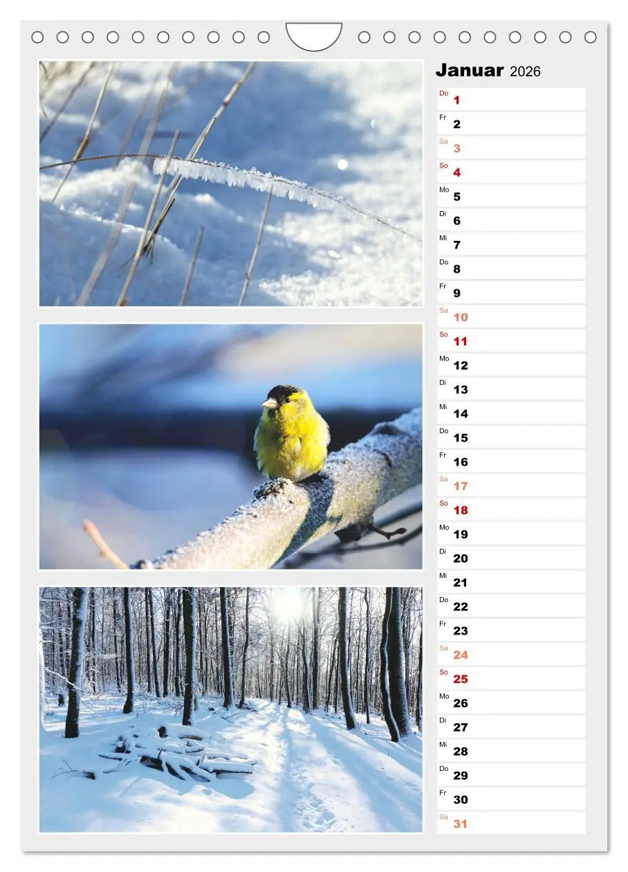 Bild: 9783516334883 | Zauberhafte Farben der Natur (Wandkalender 2026 DIN A4 hoch),...