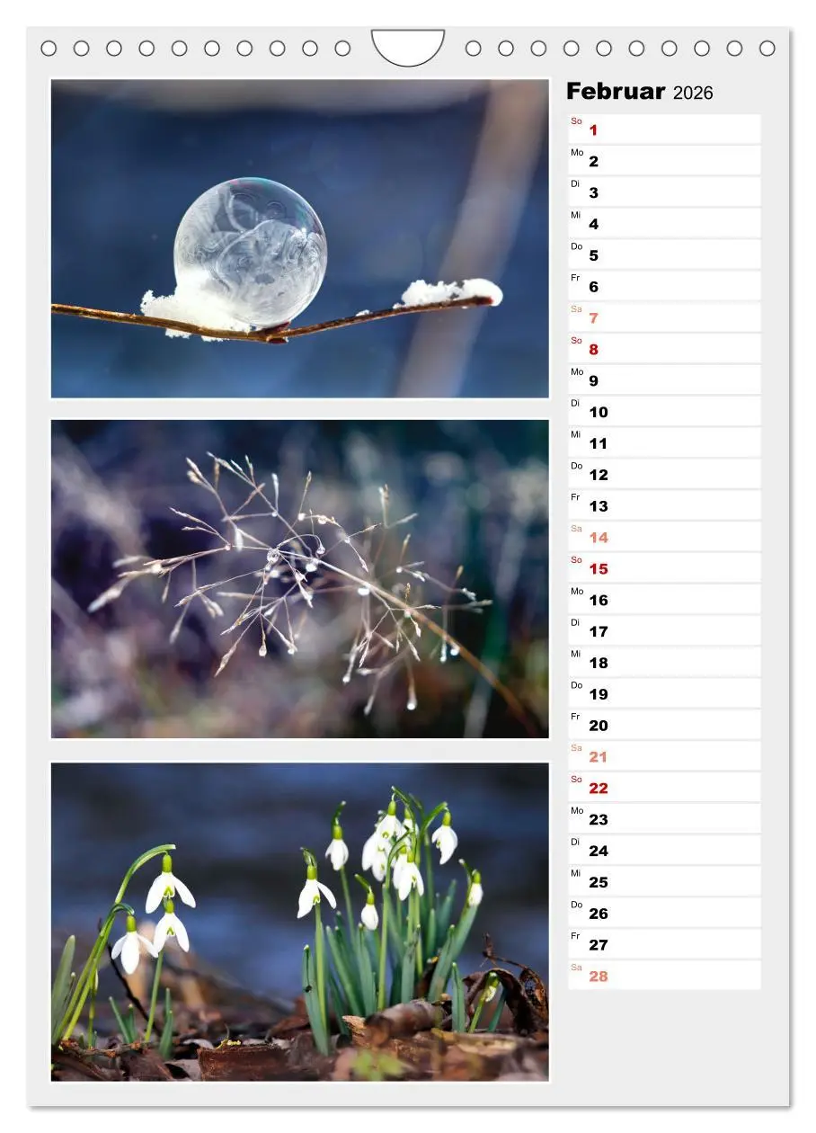 Bild: 9783516334883 | Zauberhafte Farben der Natur (Wandkalender 2026 DIN A4 hoch),...