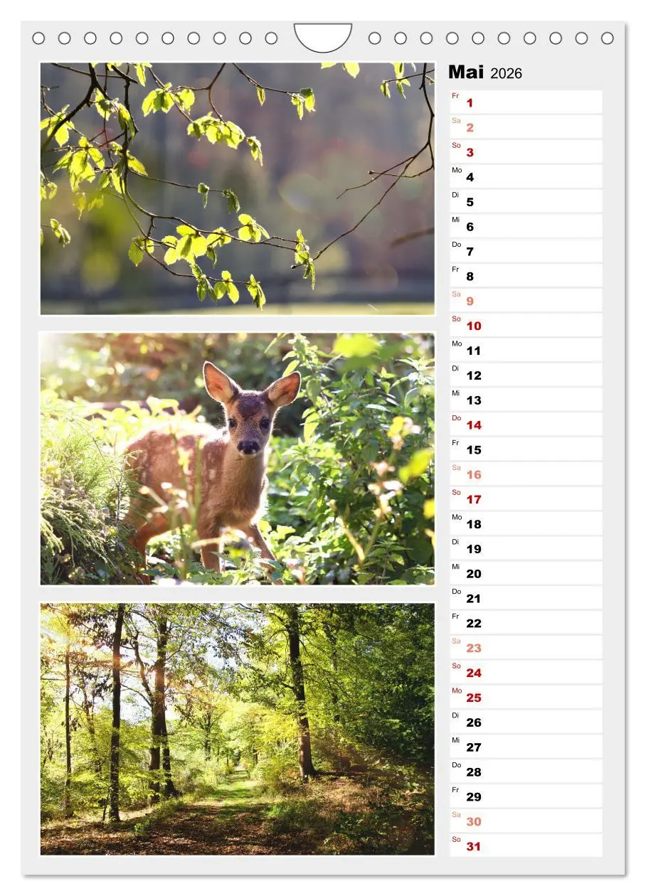 Bild: 9783516334883 | Zauberhafte Farben der Natur (Wandkalender 2026 DIN A4 hoch),...