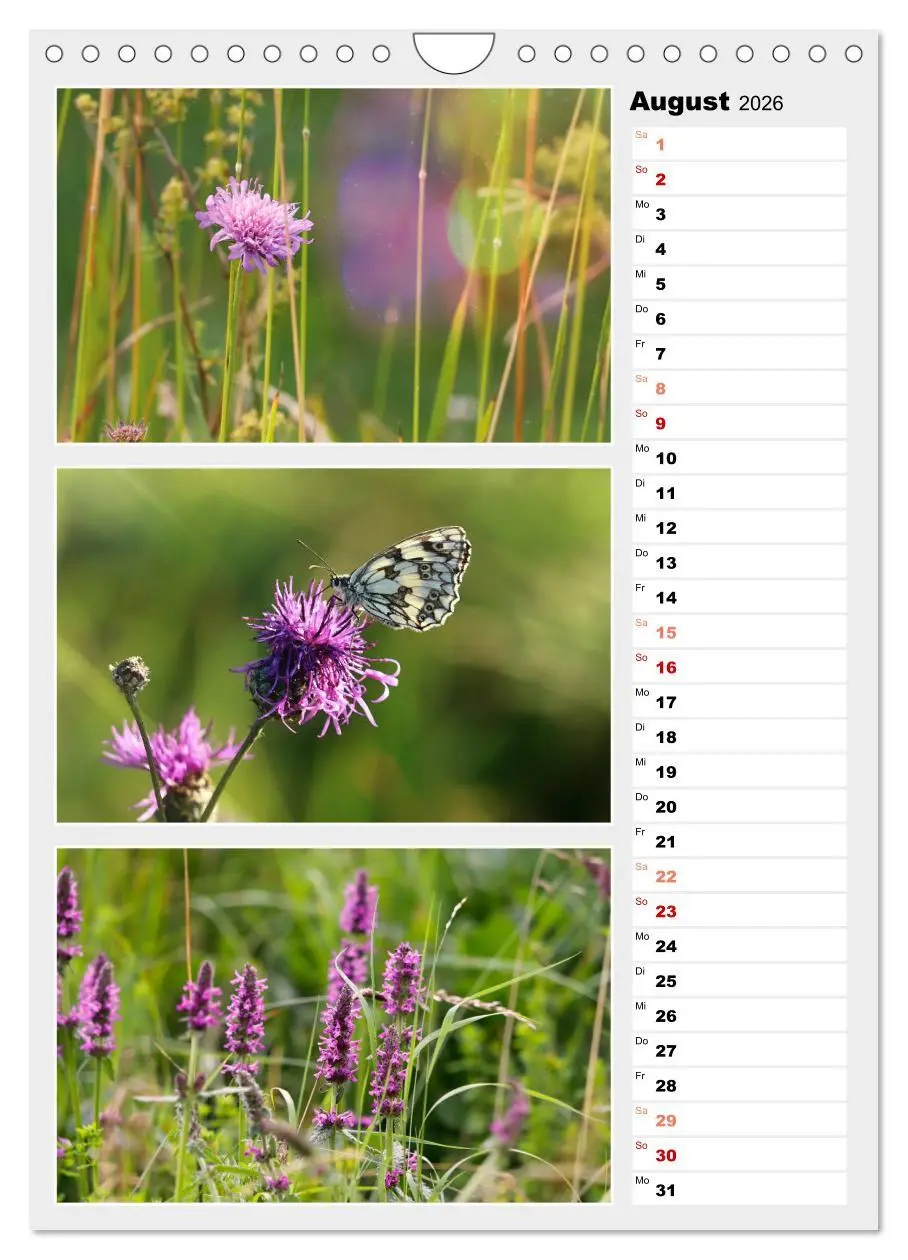 Bild: 9783516334883 | Zauberhafte Farben der Natur (Wandkalender 2026 DIN A4 hoch),...