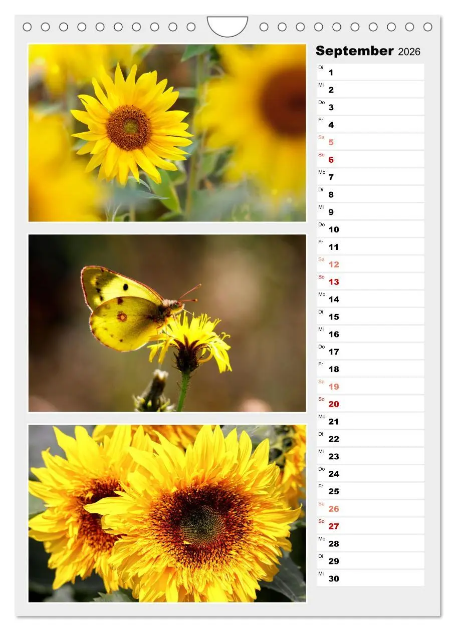 Bild: 9783516334883 | Zauberhafte Farben der Natur (Wandkalender 2026 DIN A4 hoch),...