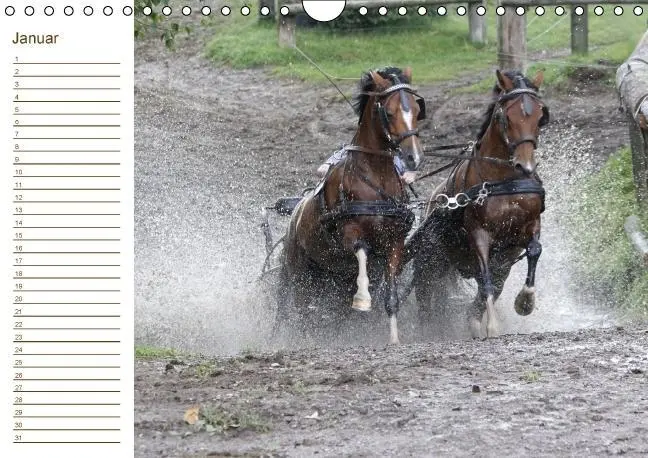 Bild: 9783660194883 | Der Pferde-Geburtstagskalender (Wandkalender immerwährend DIN A4 quer)
