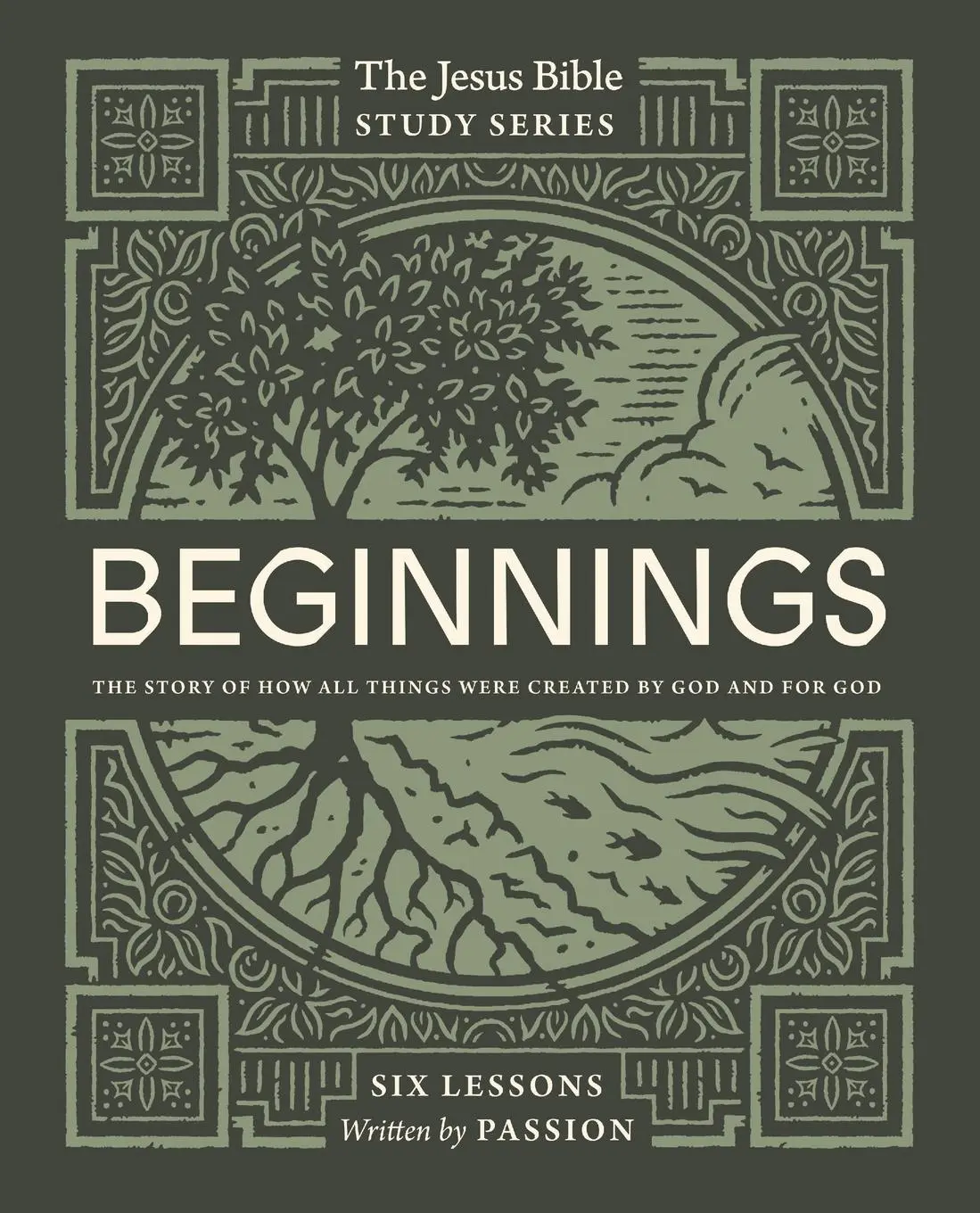 Cover: 9780310154983 | Beginnings Bible Study Guide Softcover | Louie Giglio | Taschenbuch