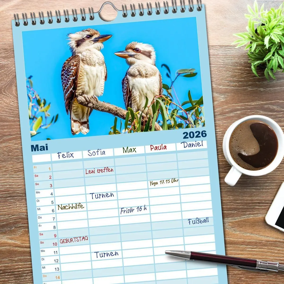 Bild: 9783516494983 | Familienplaner 2026 - Der Kookaburra - Im australischen Busch mit...