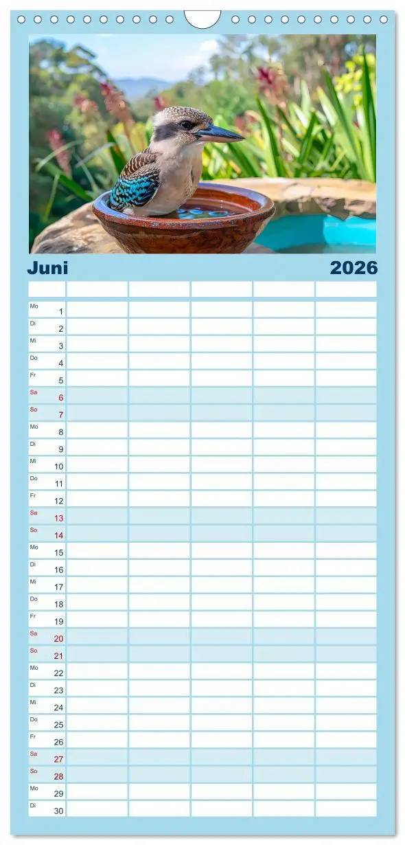Bild: 9783516494983 | Familienplaner 2026 - Der Kookaburra - Im australischen Busch mit...