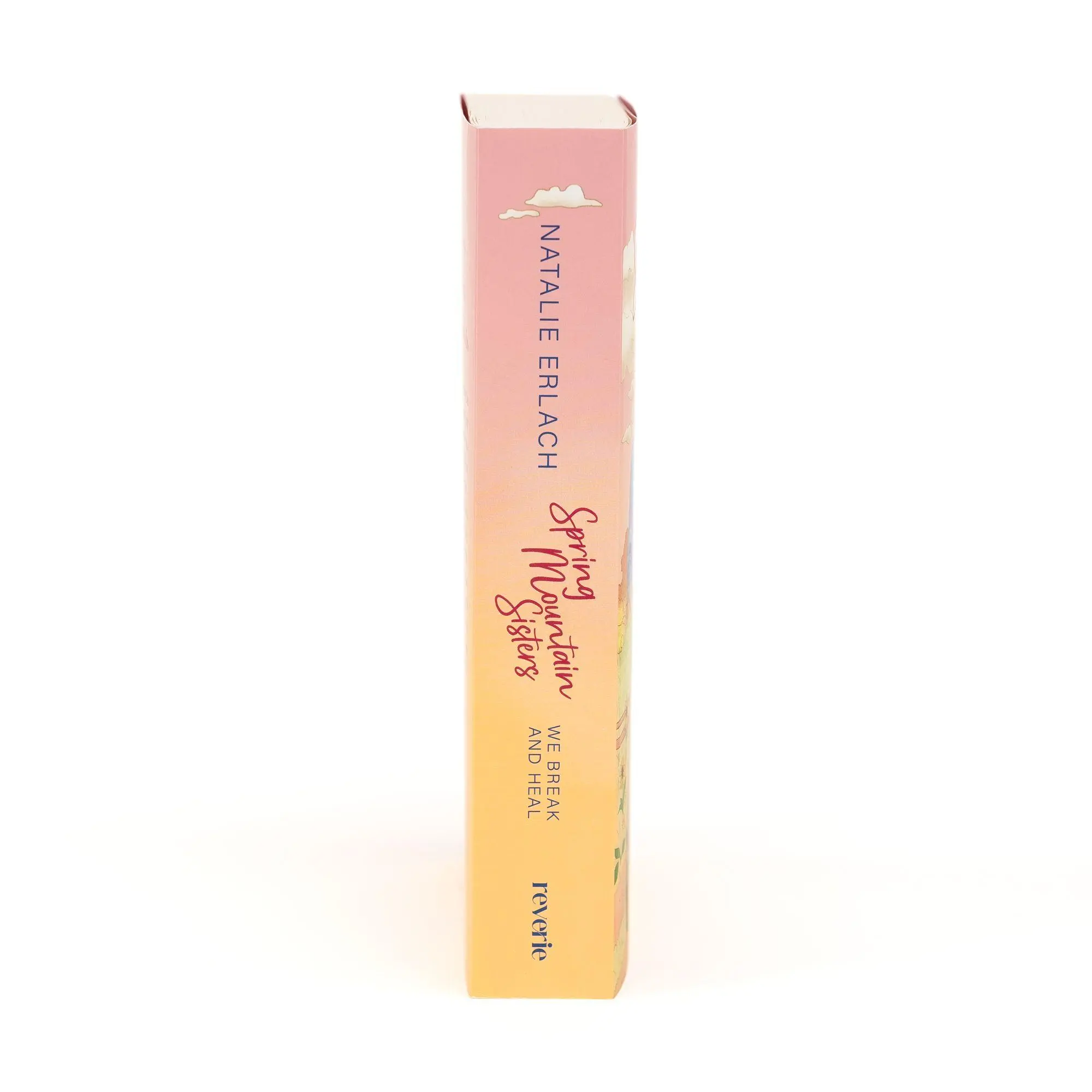 Bild: 9783745704983 | We Break And Heal | Natalie Erlach | Taschenbuch | 496 S. | Deutsch