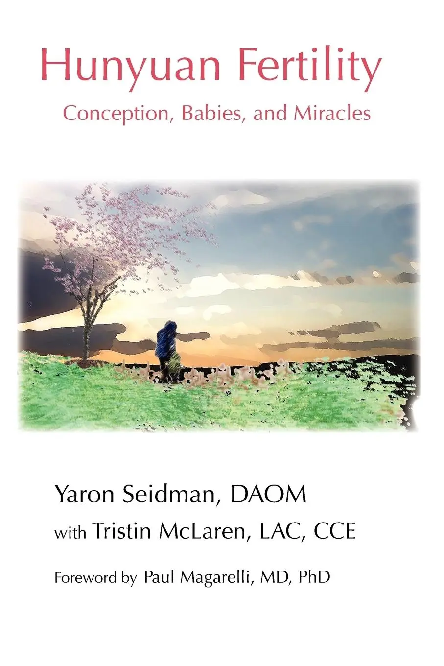 Cover: 9781620505083 | Hunyuan Fertility | Conception, Babies, and Miracles | Seidman (u. a.)