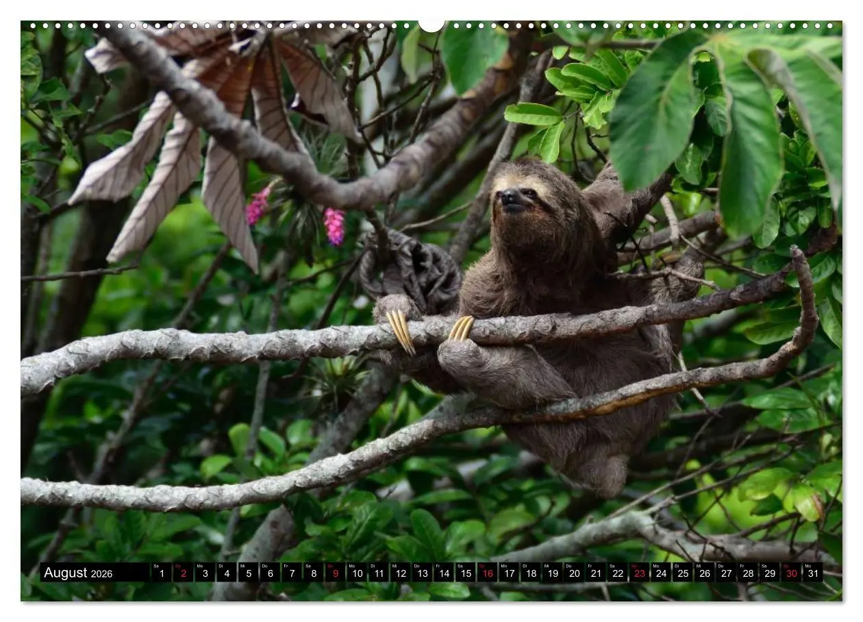 Bild: 9783516215083 | Brasilien. Sonne, Natur und Samba (hochwertiger Premium...