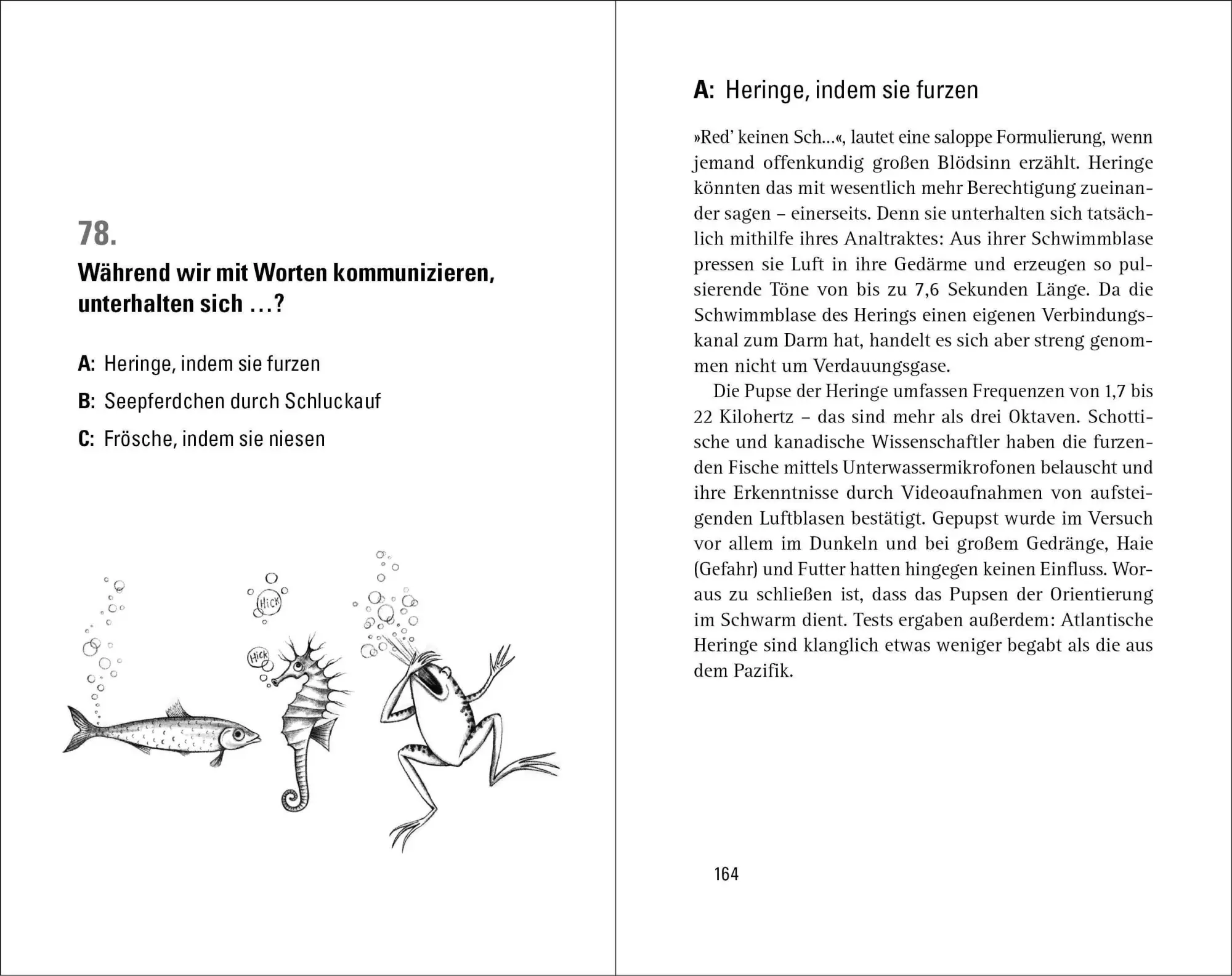 Bild: 9783453605183 | Wer weiß denn sowas? 2 | Heyne Verlag | Taschenbuch | 320 S. | Deutsch