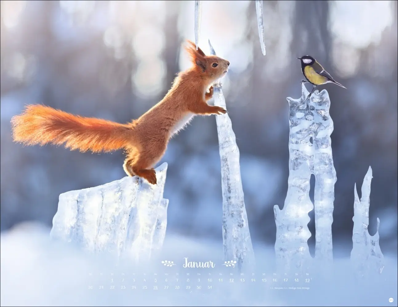 Bild: 9783756405183 | Vadim Trunov: Märchenhaftes Waldleben Posterkalender 2025 | Trunov