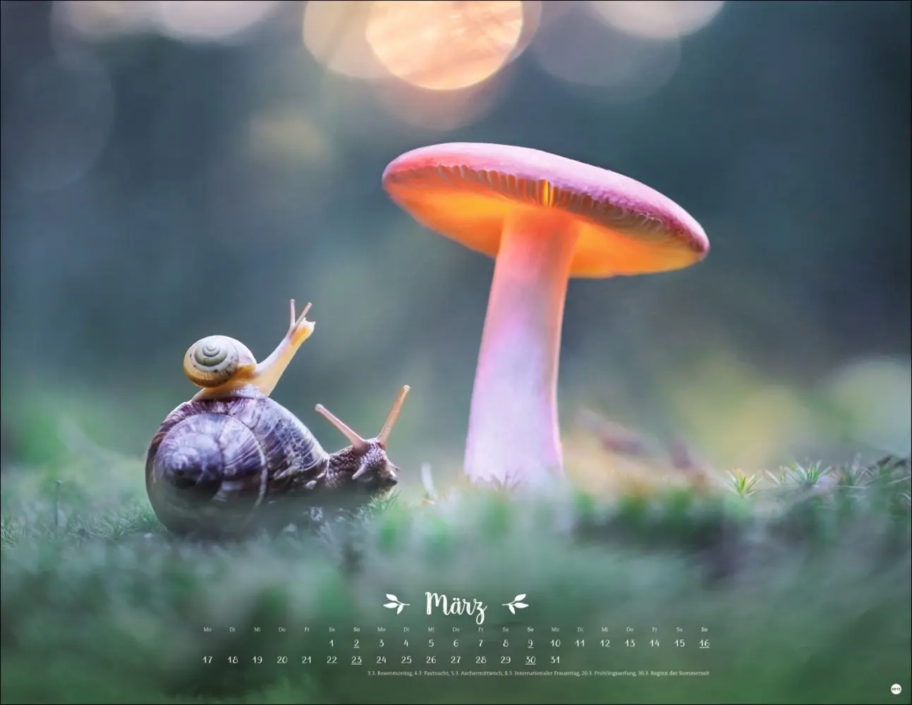 Bild: 9783756405183 | Vadim Trunov: Märchenhaftes Waldleben Posterkalender 2025 | Trunov