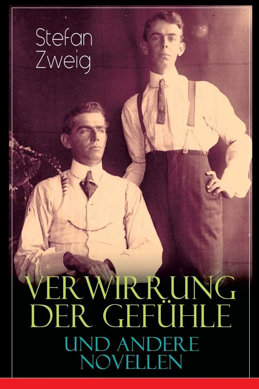 Cover: 9788026885283 | Verwirrung der Gefühle und andere Novellen | Stefan Zweig | Buch