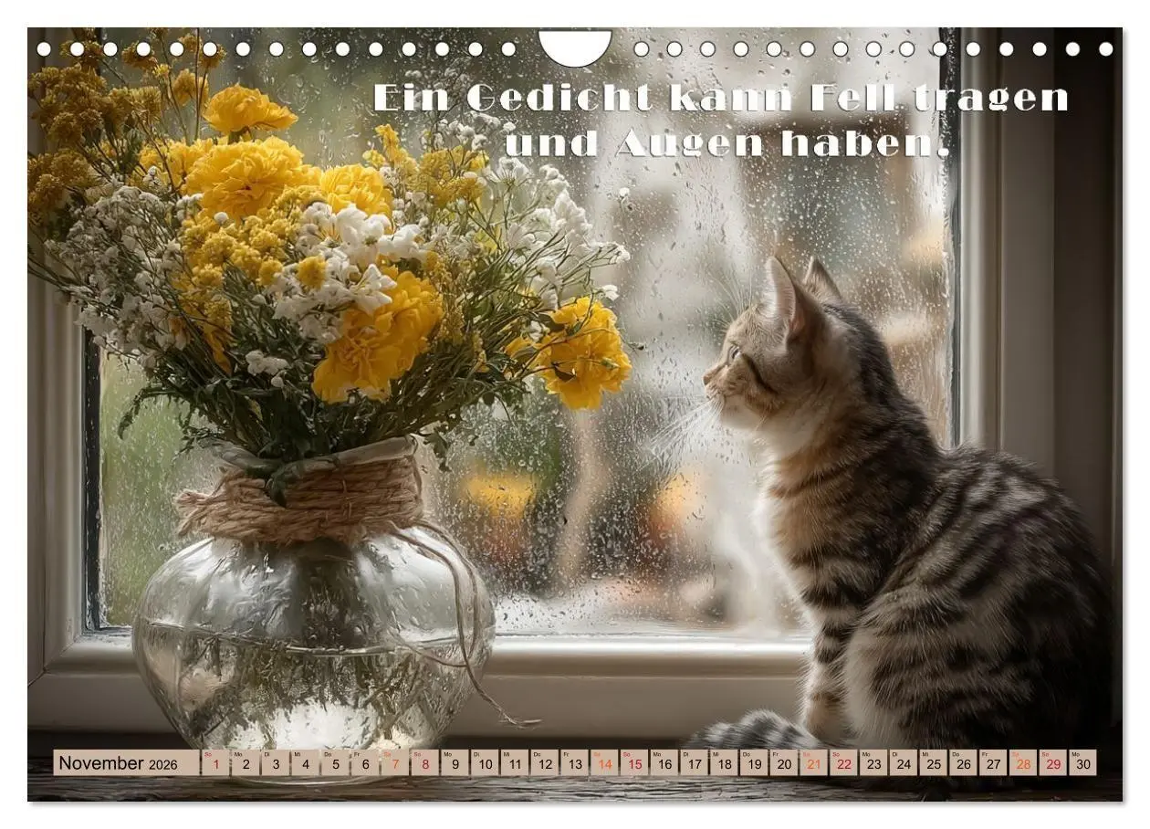 Bild: 9783516665383 | Miau-velous Pfotenpoesie (Wandkalender 2026 DIN A4 quer), CALVENDO...